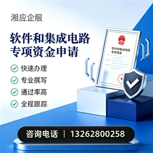 东营软件和集成电路专项资金申报服务