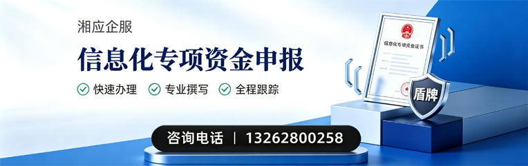 东营信息化专项资金申报服务