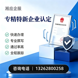 东营专精特新企业申报服务