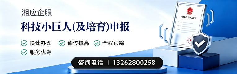 东营科技小巨人及培育企业申报服务