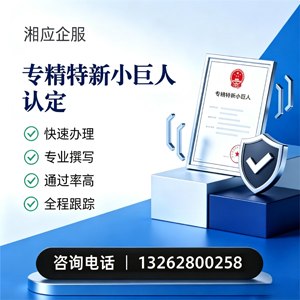 东营专精特新小巨人申报服务