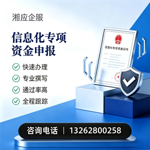 东营信息化专项资金申报服务