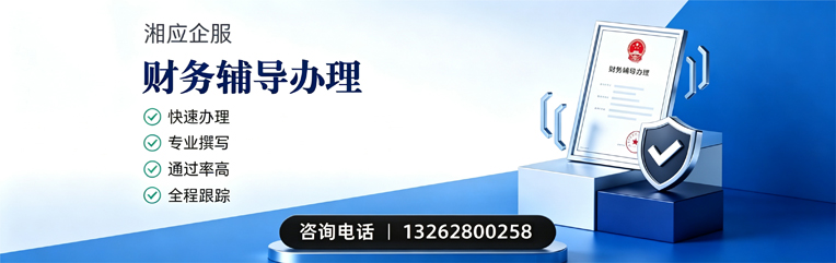 东营财务辅导申请服务