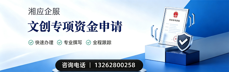 东营文创专项资金申报服务