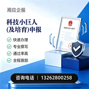 东营科技小巨人及培育企业申报服务