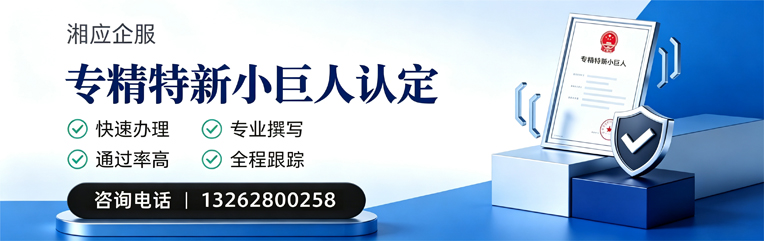 东营专精特新小巨人申报服务